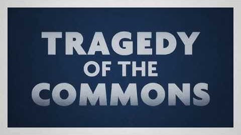 The tragedy of the commons | PROJECT M