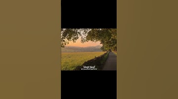 سورة الأحزاب الآية (21) ... أكتب شي تؤجر عليه  #القران #القرآن_الكريم #تلاوة_خاشعة#اجر_لي_ولك #تلاوة