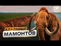 Сыпучий Яр: охота на мамонта в  XXI веке | @Русское географическое общество