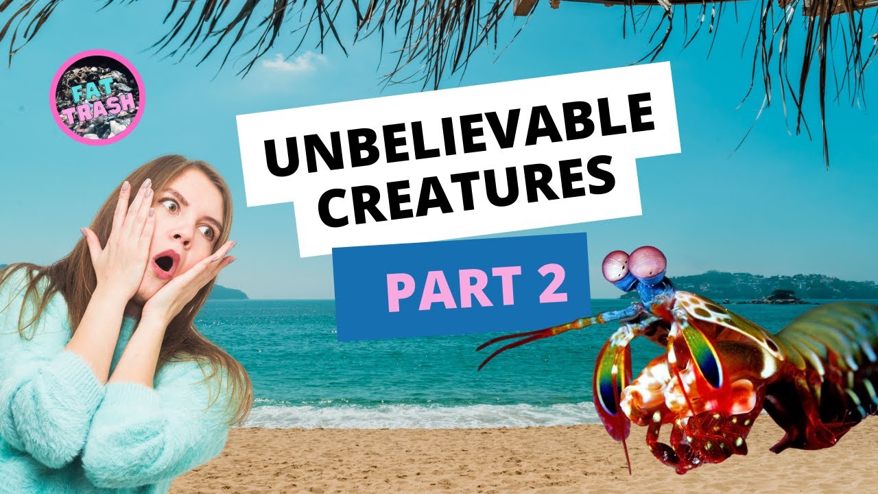 Unbelievable Creatures You Won't Believe Exist! (Part 2) YouTube
