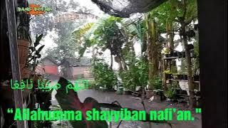 story wa doa ketika hujan