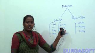 Famous Data types and Conversions in  net Net Worth