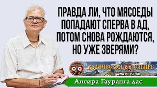 Правда Ли, Что Все Мясоеды Попадают Сперва В Ад, Потом Снова Рождаются, Но Уже Зверями?