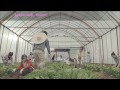 [HD MV] Tara N4 - Countryside Life (Myanmar Subs) Mp3 Song