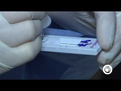 კაჭრეთის  კოლეჯ \"აისის 10-მდე თანამშრომელს კორონავირუსი დაუდასტურდა