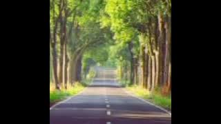 Morning light music🎶