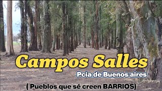 SAN NICOLAS - CAMPOS SALLES - 2024 Pueblo de escaso vecindario, sin jurisdicción propia.