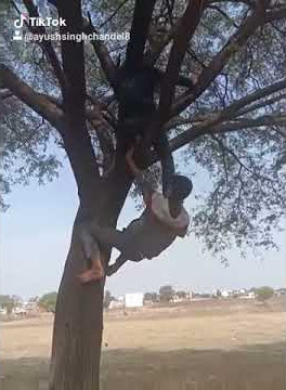 Dangerous khiladi