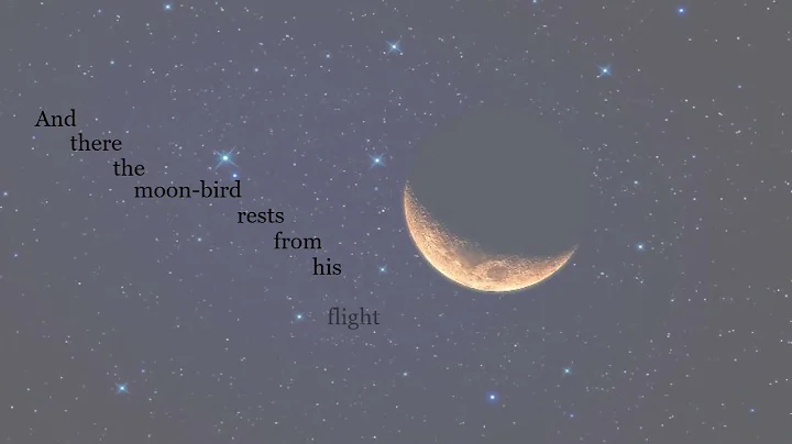 Illuminated Poetry Project - Alyssa Duffy