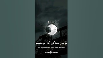 سورة الجاثية الأية[8]بتلاوة ياسر الدوسري