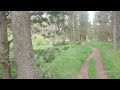 Walk in Harriman State Park, Idaho - Henry's Fork-Rental Cabins-Silver Lake