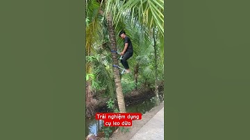 Trải nghiệm dụng cụ leo dừa 🪴