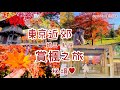 日本人才知道的賞楓秘境 漫天楓紅寺院 遇見富士山 免費日式庭園紅葉小徑散步 國家指定天然記念物樹林 好吃天婦羅蕎麥麵 遍地松果 日本旅遊 Stebbie慢活日本 日本人才知道的賞楓秘境 漫天楓紅寺院 遇見富士山 免費日式庭園紅葉小徑散步 國家指定天然記念物樹林 好吃天婦羅蕎麥麵 遍地松果 日本旅遊 Stebbie慢活日本