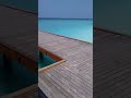 #blueocean