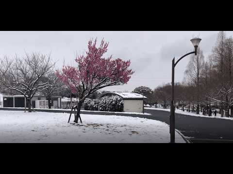 【2026年02月】舎人公園（雪）