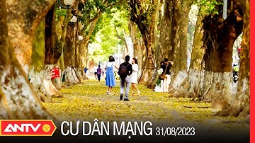 Người dân nghỉ lễ Quốc khánh 2/9 trong an toàn, hạnh phúc và ý nghĩa | Cư dân mạng | ANTV