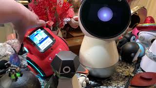 Jibo and Friends - Robot Petting Zoo