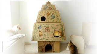 How to Make a Christmas Tree Cat House by Cat Lessons 69,908 views 6 years ago 3 minutes, 53 seconds