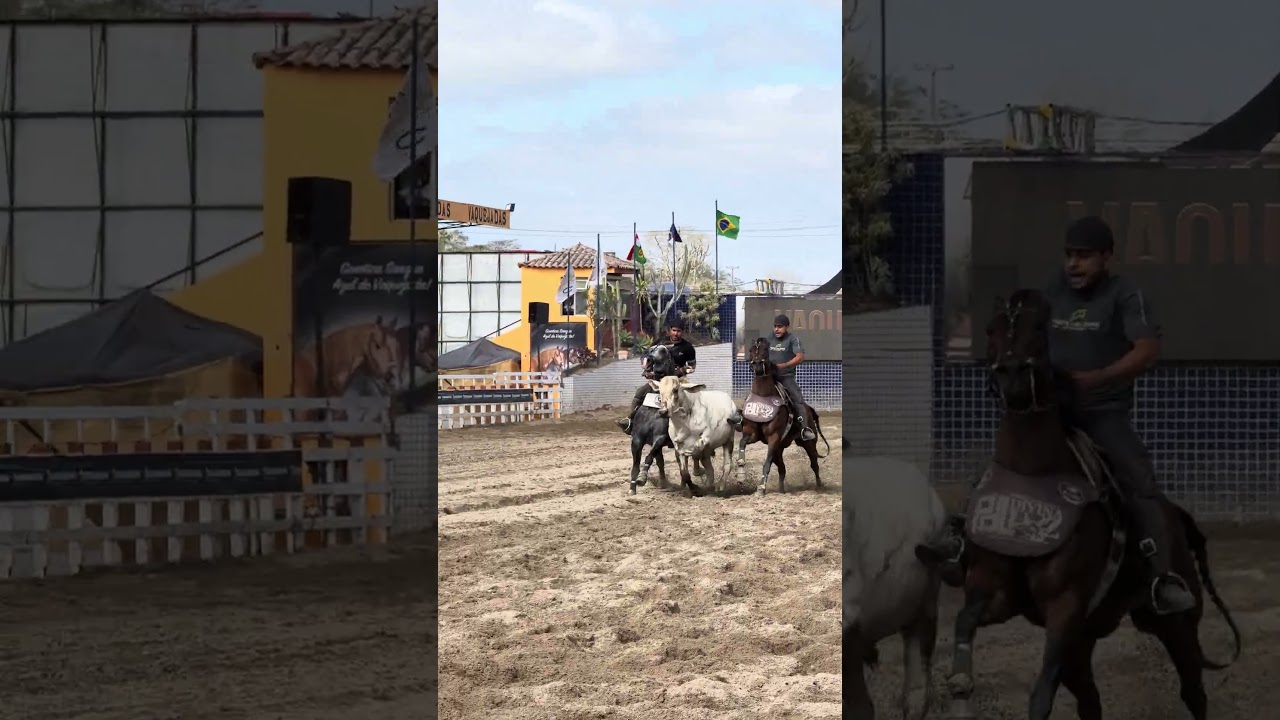 BROCOIO JR NÃO TEM APROVEITAMENTO JÁ SUA 2º SENHA !