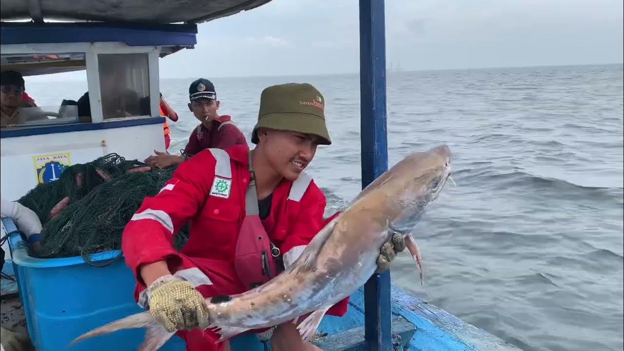Praktik Laut, Pengoperasian Alat Tangkap Gill Net (SMKN 61 Jakarta