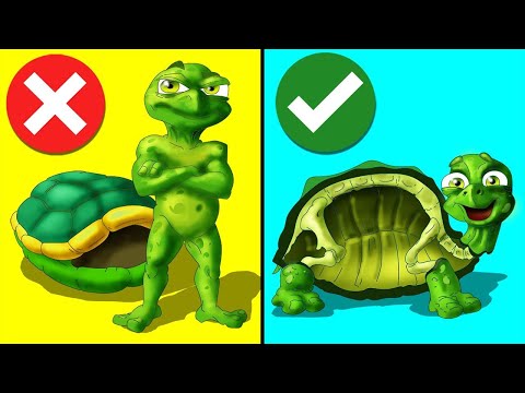 Черепахи Не "Живут" в Своих Панцирях. Парад Фактов 12