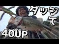 でっかいルアー縛りでバス釣り【ＴＯＰで出た!?】