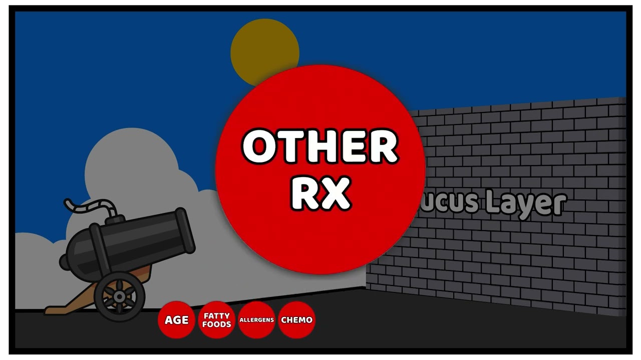 Leaky Gut V2 4k