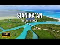 Sian Ka&#39;an Reserva de la Biosfera, TULUM | Punta Allen | Avistamiento de Delfines | Riviera Maya 4K