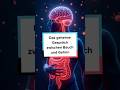Das geheime Gespräch zwischen Bauch und Gehirn