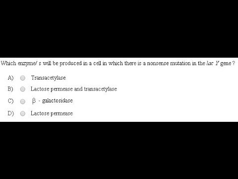 NEET 2013 B 0022349 genetics pdf