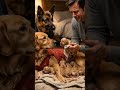 Luna’s Last Gift 🐾💔 Emotional story 😢🥺 #shorts#viral#trending#love#puppies#emotional#sad#pets