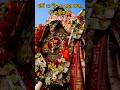 ଦୀର୍ଘ 13 ଦିନର ଯାତ୍ରା ପରେ ମାଁ ଙ୍କ ନିଜ ଗୃହକୁ ଆଗମନ 🙏 #shortvideo # maakaligalleri #dandayatra