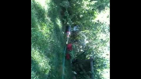 Meditation Garden fadetored