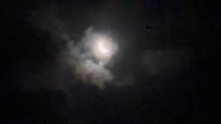 More Moon Loonie Tune: 02/06/24 5amEST