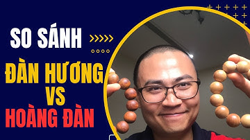 🔥So sánh vòng gỗ đàn hương với vòng gỗ  hoàng đàn