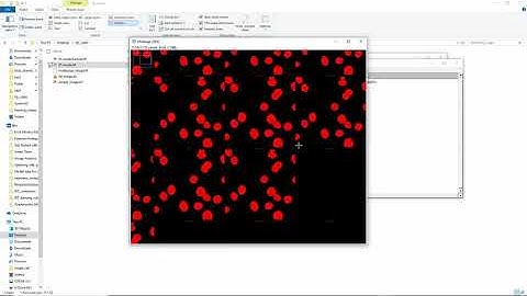 Learn how to use Fiji to analyze biology images