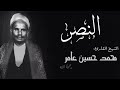 الشيخ محمد حسين عامر سورة النصر