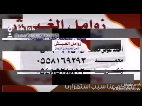 الشاعر ناصر باص الوالي