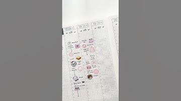 Day in the Life with my Hobonichi Cousin