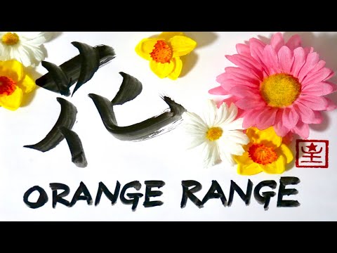 花/ORANGE RANGE  ☆Covered by 星☆【ギター/弾き語り】