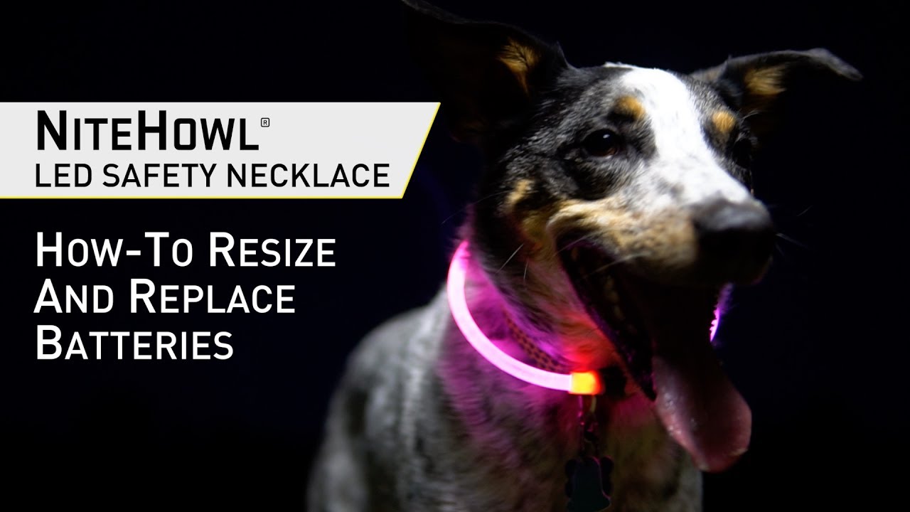 Luz Perro Gato Collar Luminoso Colores Noche Nite Ize