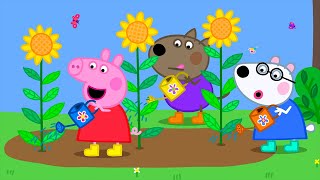 The Playgroup Garden  Best of Peppa Pig  Cartoons for Children