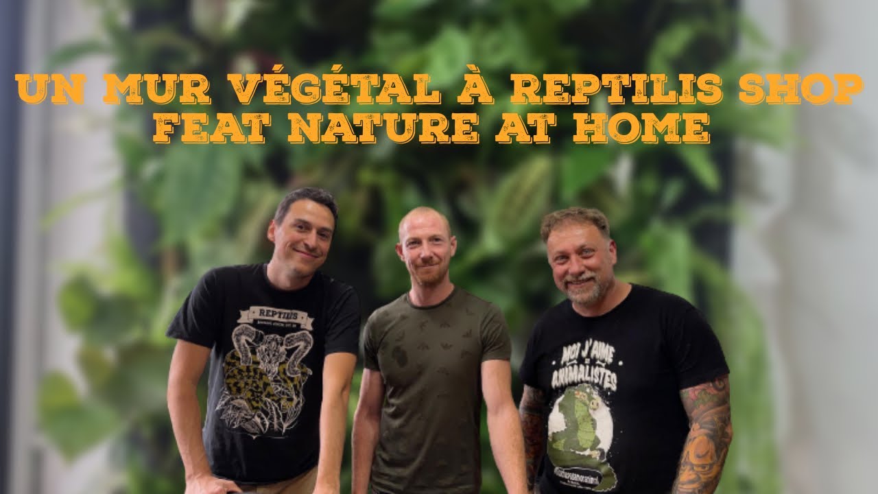 ON A AMÉNAGÉ UN MUR VÉGÉTAL DE FOLIE AU SHOP ! (Feat. Nature at home)