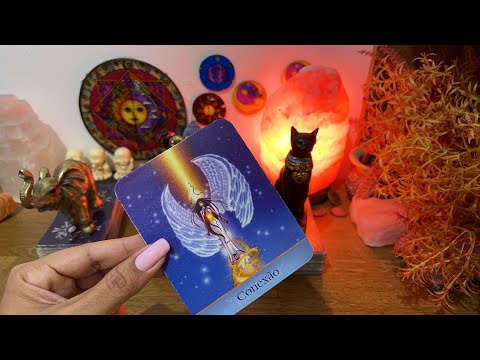 Vídeo: Lua do Louco: Um Mistério dos Gatos Tarot