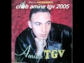 Cheb amine tgv edition resonance 2005