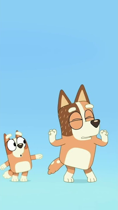 Time for Chilli! | Bluey