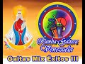 GAITAS MIX ÉXITOS III ( 84 GRANDES GAITAS, CASI 5 HORAS DE LO MEJOR DEL SENTIR VENEZOLANO ).