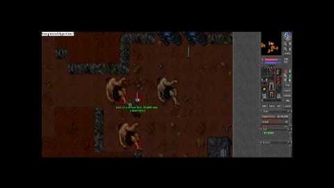 Tibia knight skills