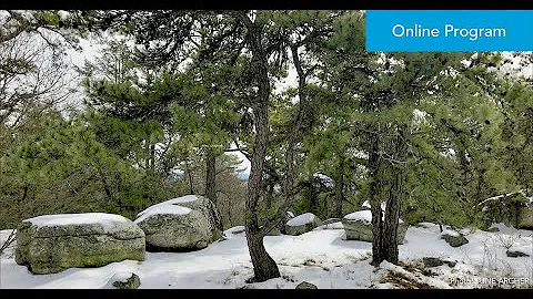DIY Forest Bathing with Jane | Webinar