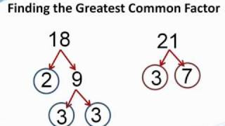 SOLVED] Factors of 18 STEP by STEP Easy Method